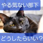 【やる気のない保育士も放置しない】でもやれることやってダメなら・・