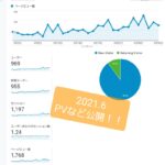 【月間10万PVブロガーが新サイトをガチで作ったら】3ヶ月目の経過報告