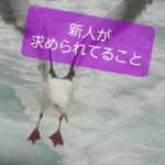 【新人保育士に求められていること】思いを知り保育を良くする2つのコツ