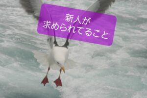【新人保育士に求められていること】思いを知り保育を良くする2つのコツ