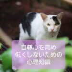 【子どもの自尊心を高めるため知っておくべき心理】保育士の心理知識②