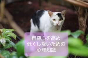 【子どもの自尊心を高めるため知っておくべき心理】保育士の心理知識②