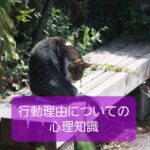 【人間の行動する理由や価値判断に関係した心理】保育士の心理知識⑤