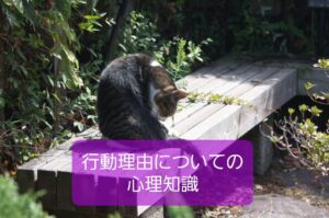 【人間の行動する理由や価値判断に関係した心理】保育士の心理知識⑤