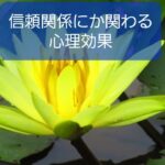 【子どもや保護者・同僚との信頼関係に関わる心理効果】保育士の心理知識⑨