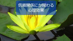【子どもや保護者・同僚との信頼関係に関わる心理効果】保育士の心理知識⑨