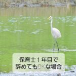 【保育士一年目で辞めたい】退職してOK・NGケース、今後の影響はほぼない