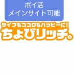 【ちょびリッチ】保育士のポイ活メインサイト候補、モニター案件に強い
